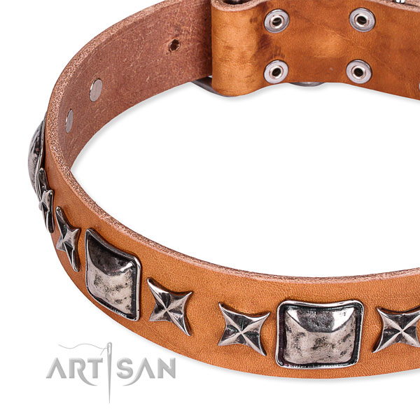 Adjustable leather dog collar with resistant rust-proof hardware