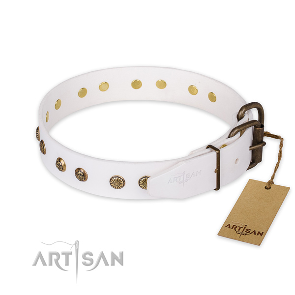 Extraordinary design embellishments on full grain leather dog collar