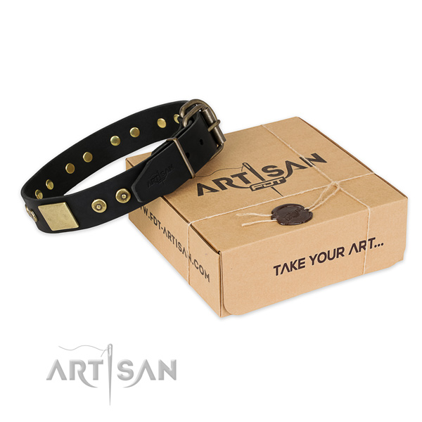 Fine quality full grain leather dog collar for walking in style