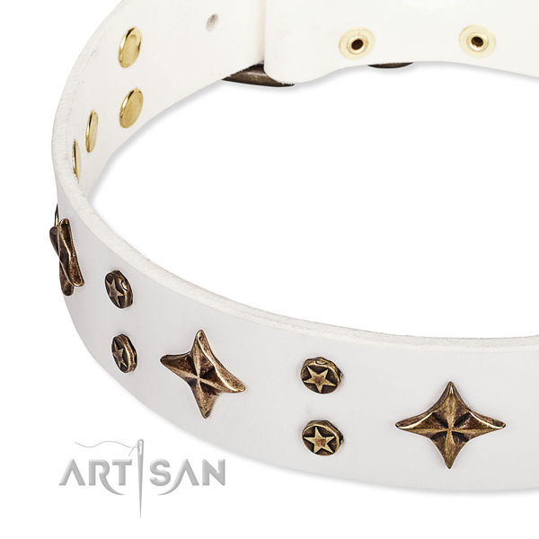 Snugly fitted leather dog collar with extra strong brass plated hardware