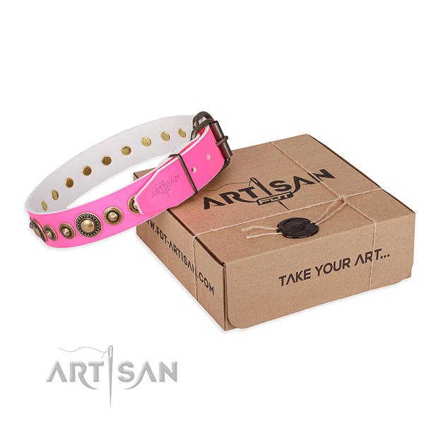 Finest quality full grain natural leather dog collar for stylish walks