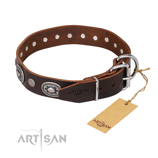 Daily leather collar for your gorgeous canine