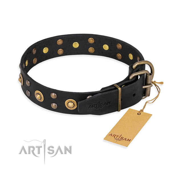 Stylish walking full grain natural leather collar with embellishments for your pet