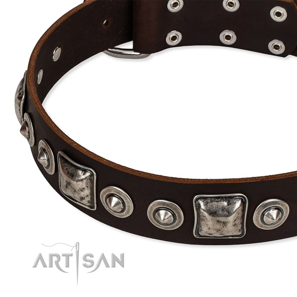 Snugly fitted leather dog collar with extra strong rust-proof buckle