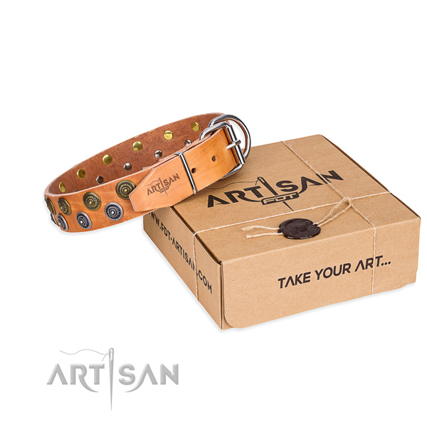 Top notch full grain leather dog collar for daily walking