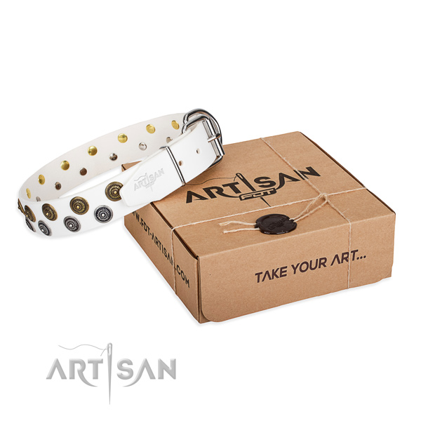 Stylish full grain natural leather dog collar for stylish walking