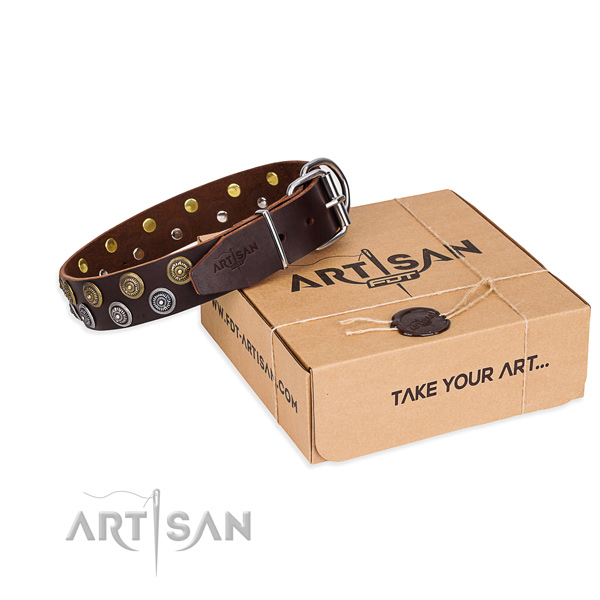 Daily leather dog collar with remarkable adornments