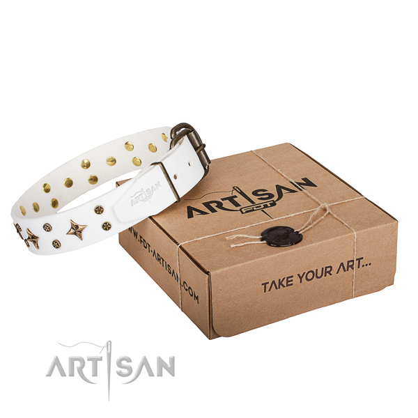 Stylish design leather dog collar for walking in style