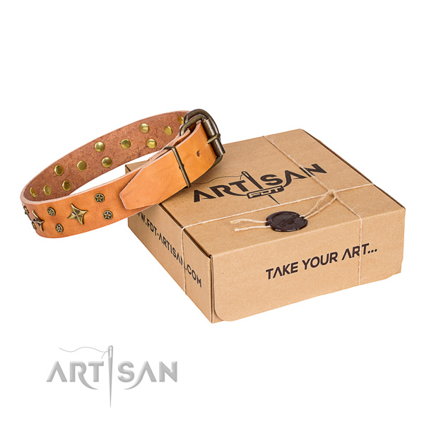 Impressive full grain leather dog collar for walking in style