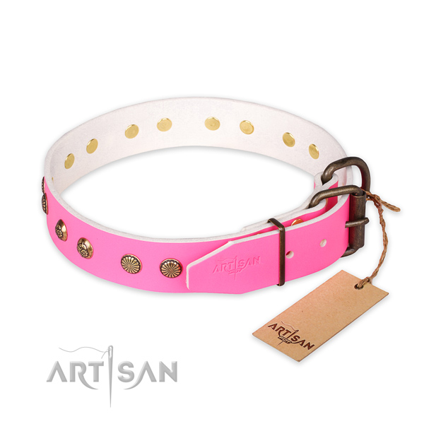Walking leather collar with decorations for your four-legged friend