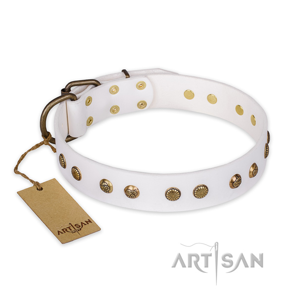 Daily walking genuine leather collar with studs for your pet