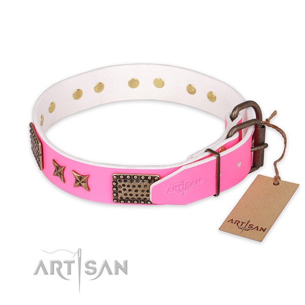 Daily walking leather collar with decorations for your pet