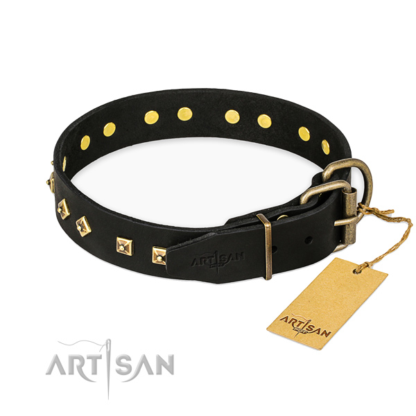 Everyday use leather collar with studs for your four-legged friend