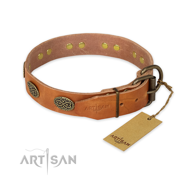 Everyday use full grain leather collar with decorations for your dog