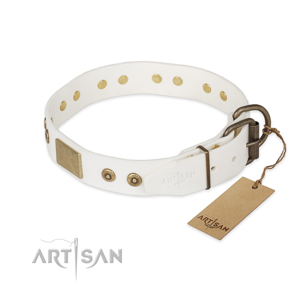 Walking full grain natural leather collar with embellishments for your canine