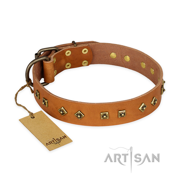 Incredible design decorations on full grain genuine leather dog collar