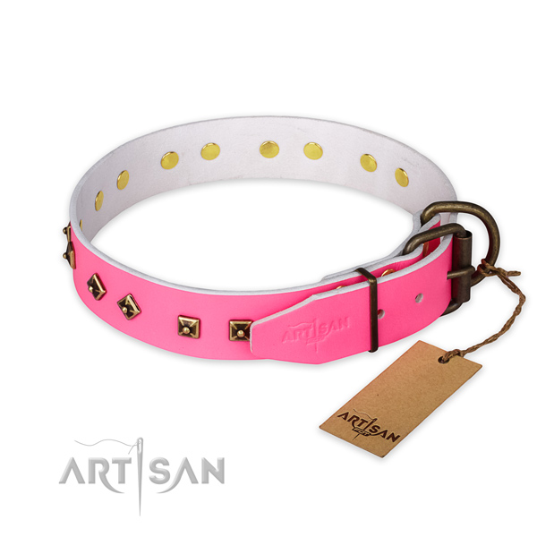 Everyday walking genuine leather collar with studs for your canine