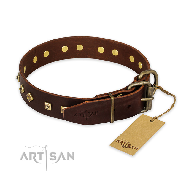 Daily use leather collar with adornments for your dog