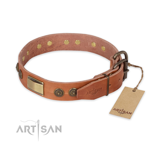 Everyday walking full grain genuine leather collar with embellishments for your canine