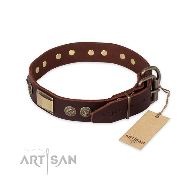 Daily use natural genuine leather collar with embellishments for your doggie