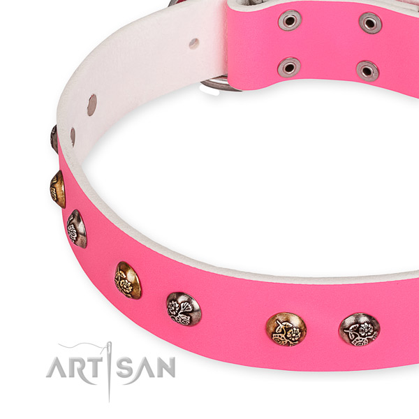 Easy to use leather dog collar with resistant to tear and wear non-rusting fittings