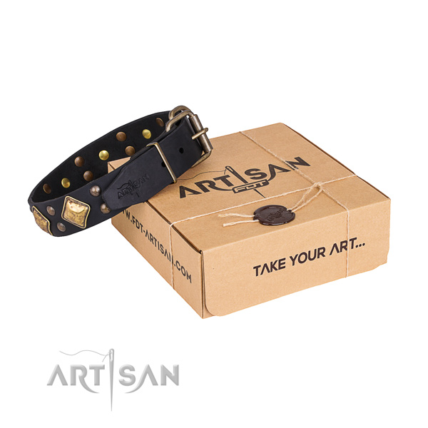 Designer leather dog collar for daily use