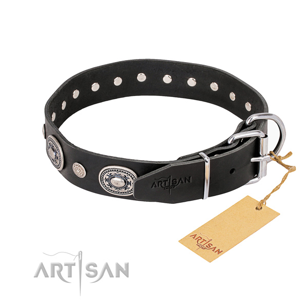 Awesome leather collar for your noble canine