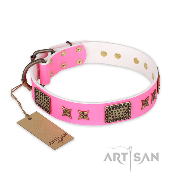 Top notch design decorations on full grain natural leather dog collar