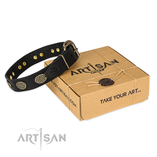 Top quality leather dog collar for daily use