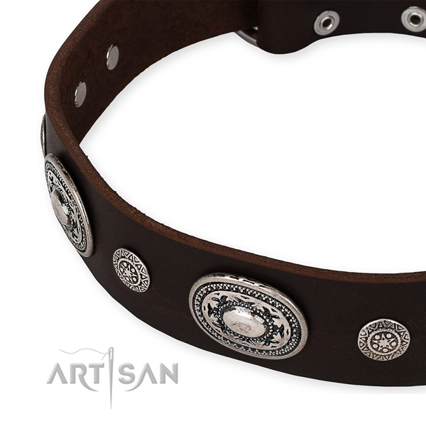 Easy to adjust leather dog collar with resistant rust-proof buckle