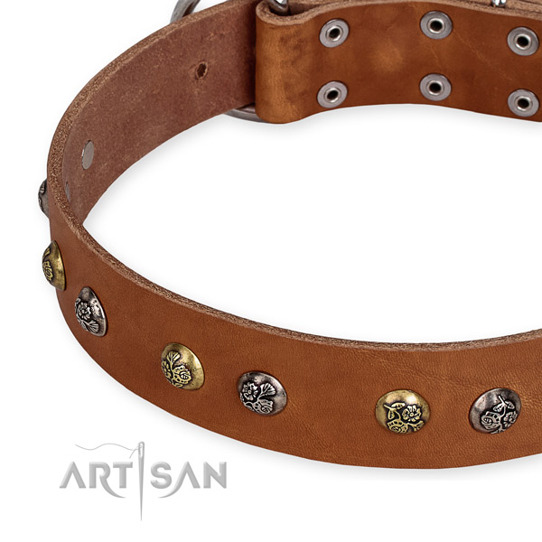 Easy to adjust leather dog collar with extra sturdy durable set of hardware