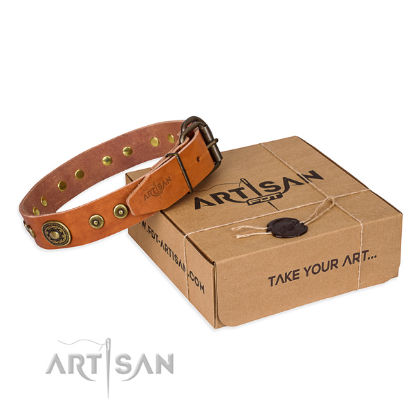 Impressive full grain genuine leather dog collar for stylish walks