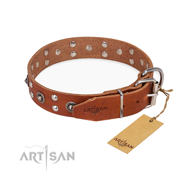 Everyday use full grain leather collar with studs for your canine