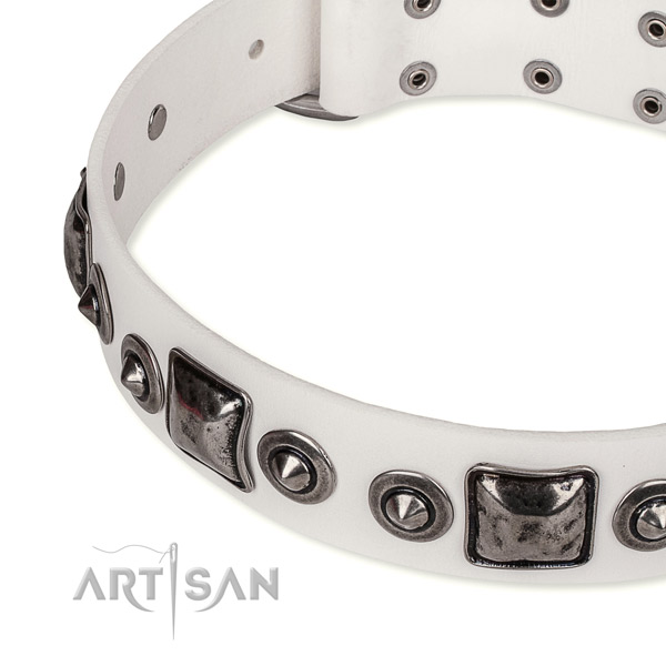 Easy to put on/off leather dog collar with resistant chrome plated hardware