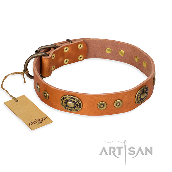 Reliable leather dog collar with reliable elements