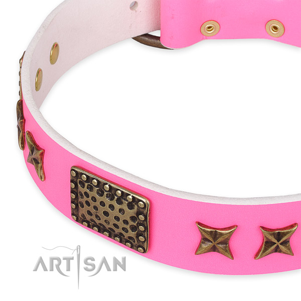 Easy to adjust leather dog collar with resistant rust-proof buckle and D-ring