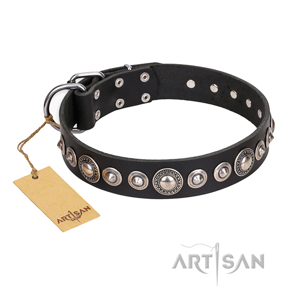 Durable leather dog collar with chrome plated hardware