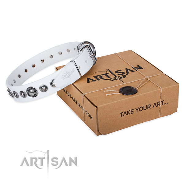 Perfect fit full grain genuine leather dog collar for stylish walks