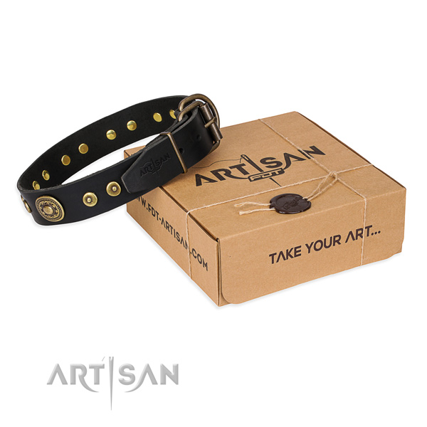 Awesome full grain natural leather dog collar for walking in style