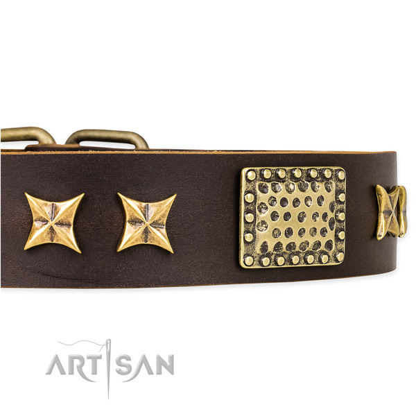 Easy to use leather dog collar with resistant to tear and wear brass plated hardware