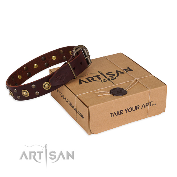 Trendy full grain leather dog collar for everyday use