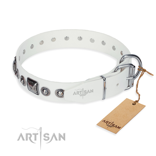 Functional leather collar for your favourite pet