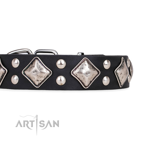 Easy to adjust leather dog collar with almost unbreakable durable fittings