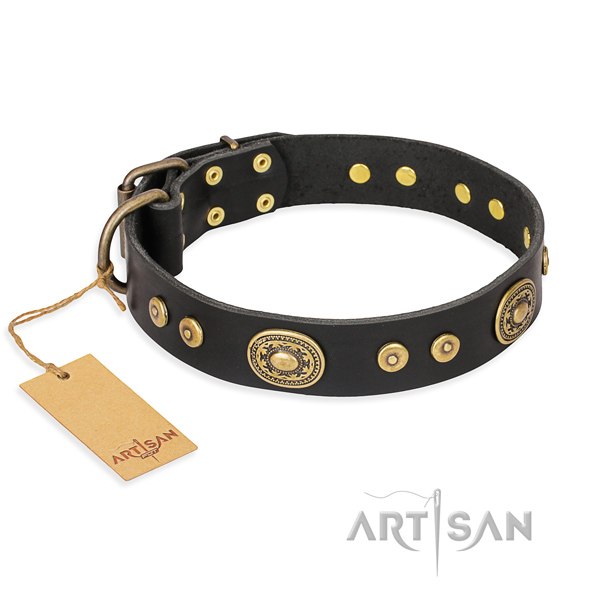 Heavy-duty leather dog collar with brass plated details