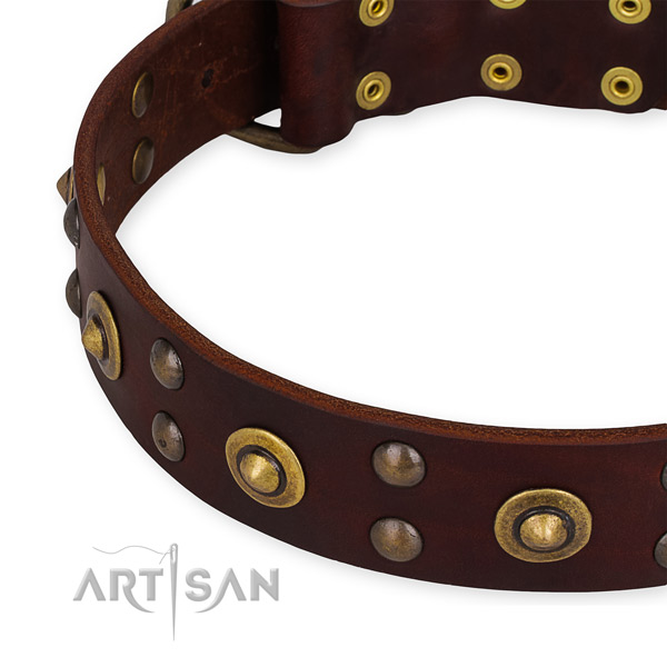 Easy to use leather dog collar with resistant durable fittings