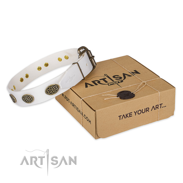Impressive full grain natural leather dog collar for fancy walking