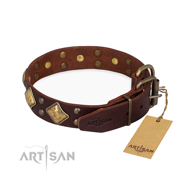 Daily leather collar for your elegant dog