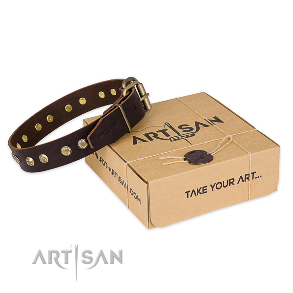 High quality leather dog collar for everyday use