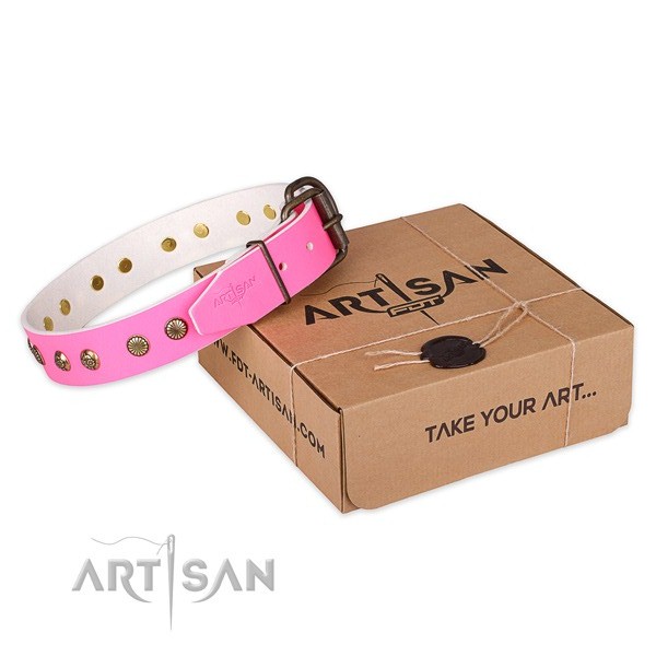 Incredible leather dog collar for daily walking