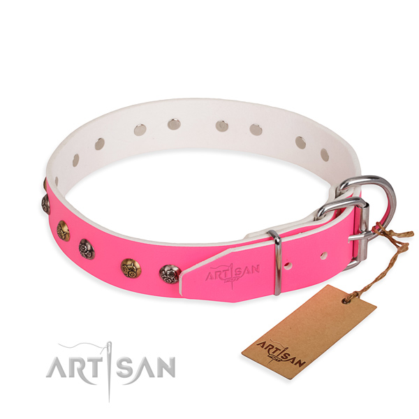 Amazing design embellishments on natural genuine leather dog collar